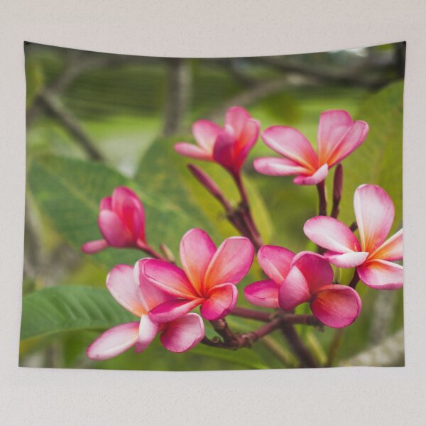 Item preview, Beautiful Hawaiian Plumeria designed and sold by StaySaltyArt.