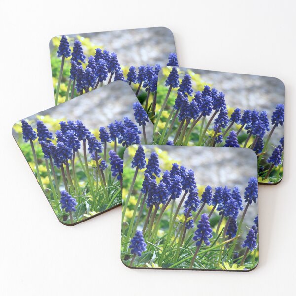 Item preview, Muscari - Grape Hyacinth designed and sold by Sharon Perrett.