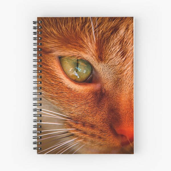 Item preview, Kitty's eye designed and sold by ollodixital.