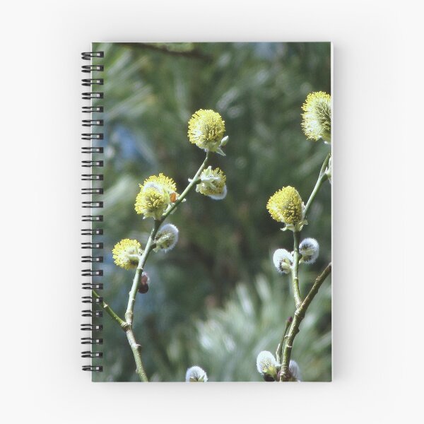 Item preview, Blooming designed and sold by Sharon Perrett.