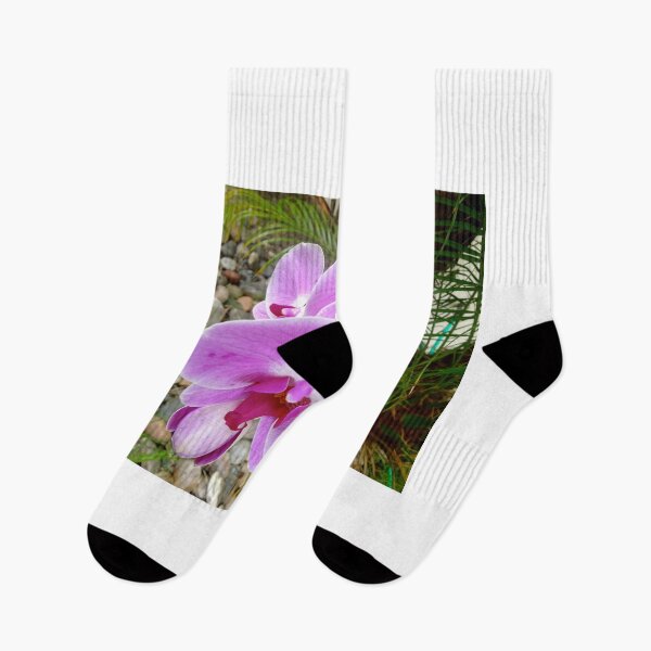 Item preview, Lavender Orchid designed and sold by jennyleeandjim.