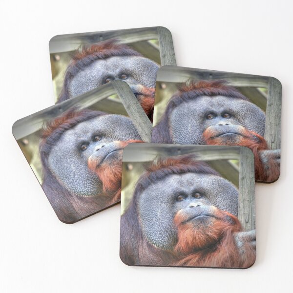 Item preview,  Orangutan designed and sold by Savannah Gibbs.