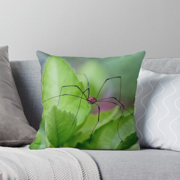 Item preview, Daddy long legs designed and sold by Alberto  DeJesus.