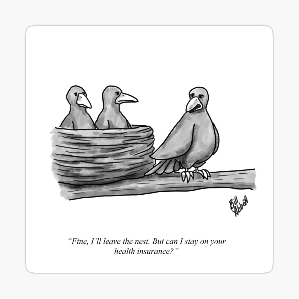 Funny Birdy Parenting and Birthday Cartoon Humor Funny Birdy Parenting and Birthday Cartoon Humor