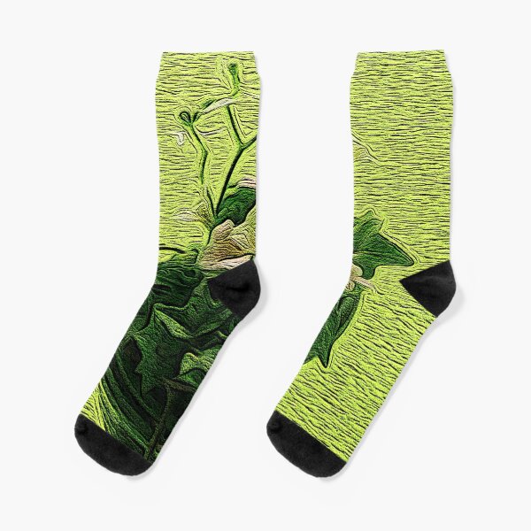 A Cup of Green Socks
