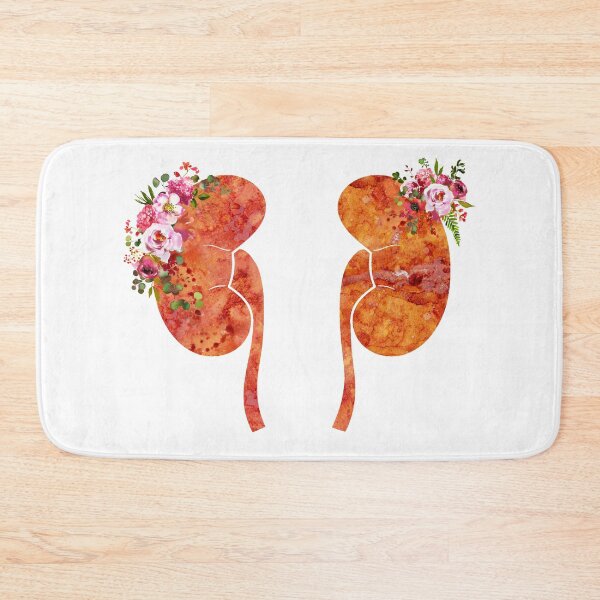 Item preview, The Kidneys anatomy designed and sold by Liededrom..