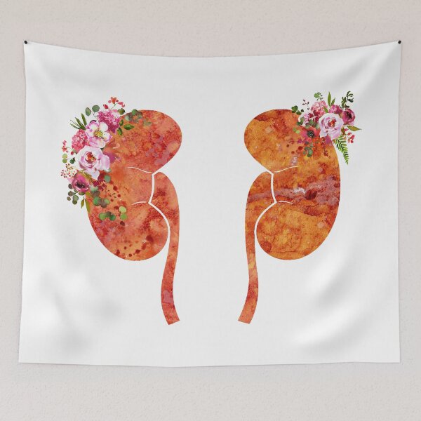 Item preview, The Kidneys anatomy designed and sold by Liededrom..