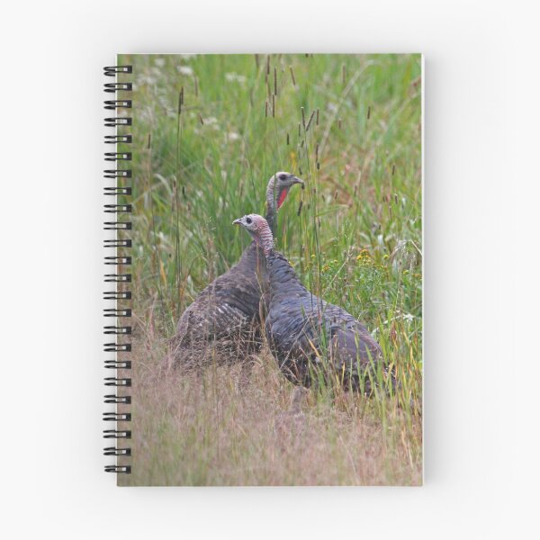 Item preview, Maine Turkey designed and sold by Enola Gay Wagner.