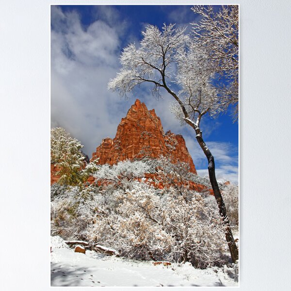 Item preview, Perspective designed and sold by Michele Binder.
