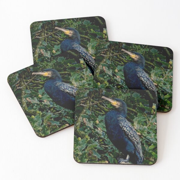 Item preview, OAKEY COKEY CORMORANT designed and sold by NICK COBURN PHILLIPS.