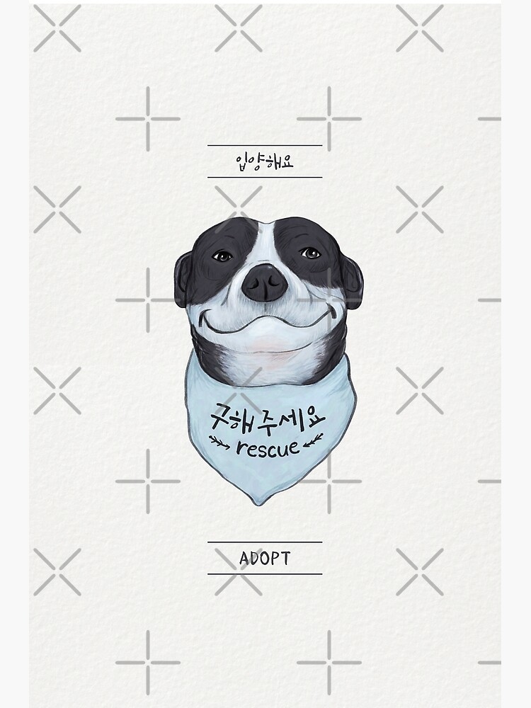 korean alphabet, rescue and adopt pitbull terrier dog Poster