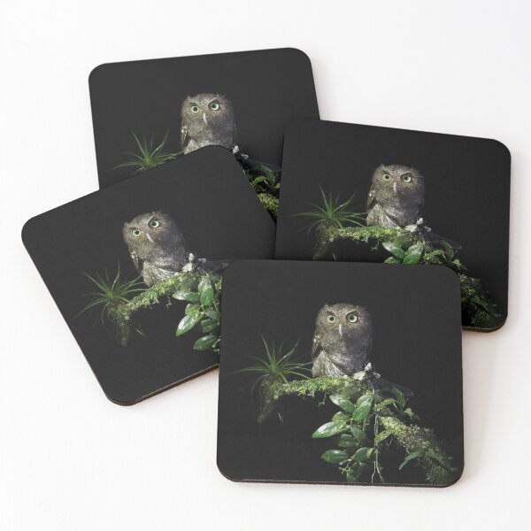 Aperçu de l'œuvre Screech Owl vermiculé créée et vendue par mlorenz.