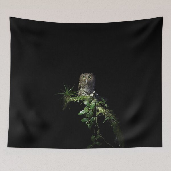 Item preview, Vermiculated Screech Owl designed and sold by mlorenz.