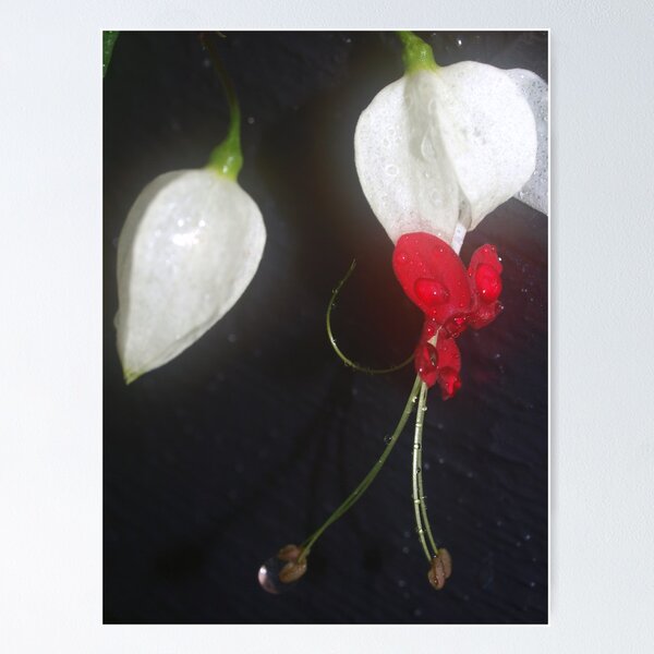 Item preview, Love Heart designed and sold by ginnymac.