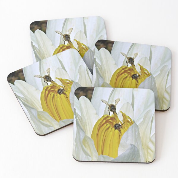 Item preview, White Water Lily with Bees designed and sold by Linda Walsh.