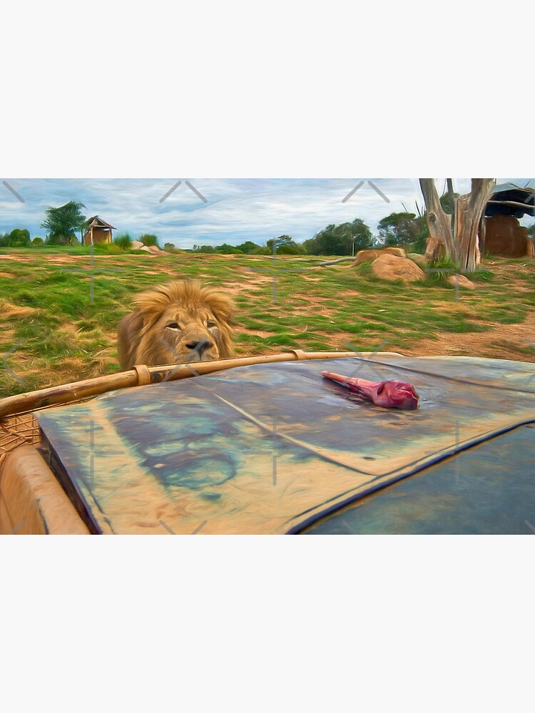 Here Kitty Kitty Kitty! (digital painting) by RayW