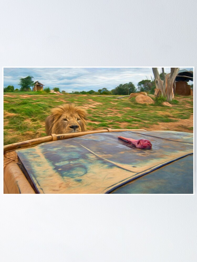 Alternate view of Here Kitty Kitty Kitty! (digital painting) Poster