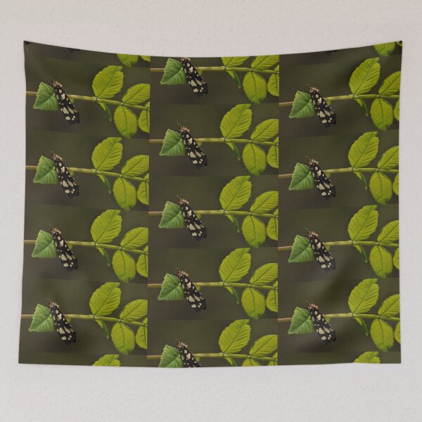 Item preview, Black and White Moth on a Leaf designed and sold by Mike Ashley.