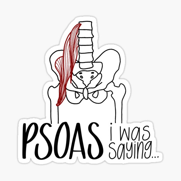 Psoas I Was Saying Sticker