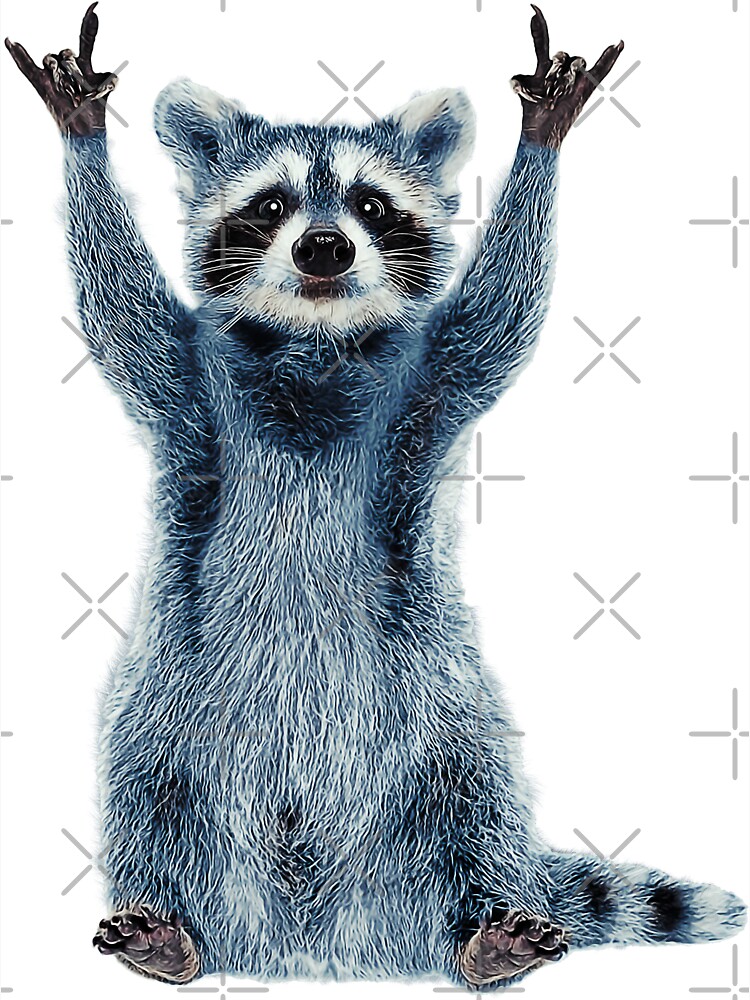 Raccoon T-Shirt. Cool Nature Raccoon Tee Raccoon T-Shirt. Cool Nature Raccoon Tee