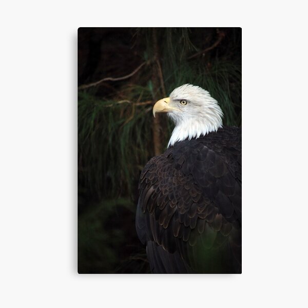 Sentinel Canvas Print