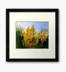 Sunrise Framed Print