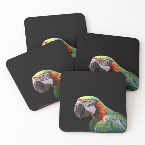 Item preview, Parrot designed and sold by CarolM.