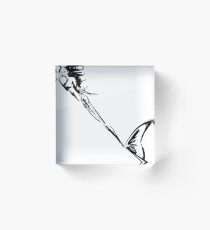 mermaid Acrylic Block