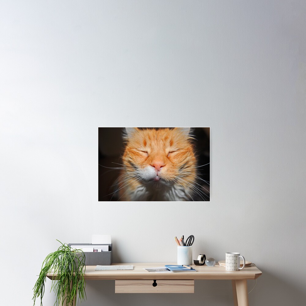 Item preview, Poster designed and sold by Jdubphotog.