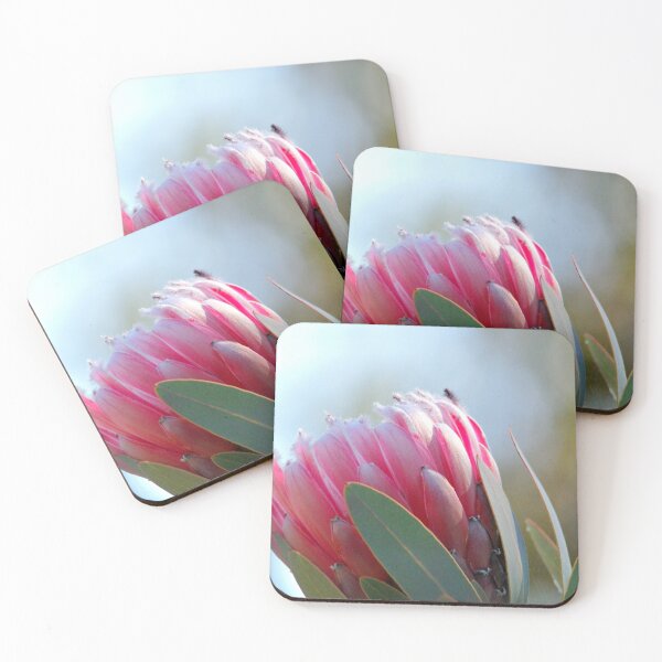 Item preview, Soft pink Protea designed and sold by imaginethis.