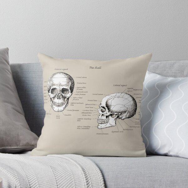 Item preview, The main bones of the human skull, face and side view. designed and sold by Squirrox.