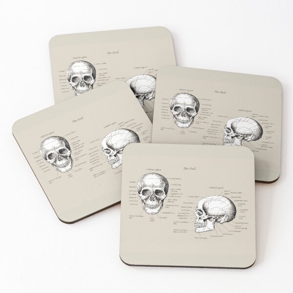 Item preview, The main bones of the human skull, face and side view. designed and sold by Squirrox.