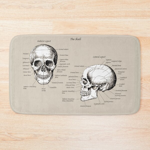 Item preview, The main bones of the human skull, face and side view. designed and sold by Squirrox.