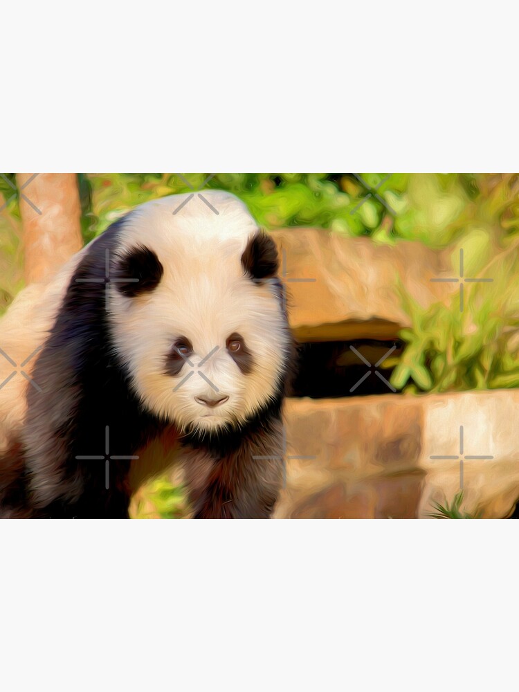 Giant Panda (digital painting) by RayW