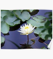 Stillness Poster