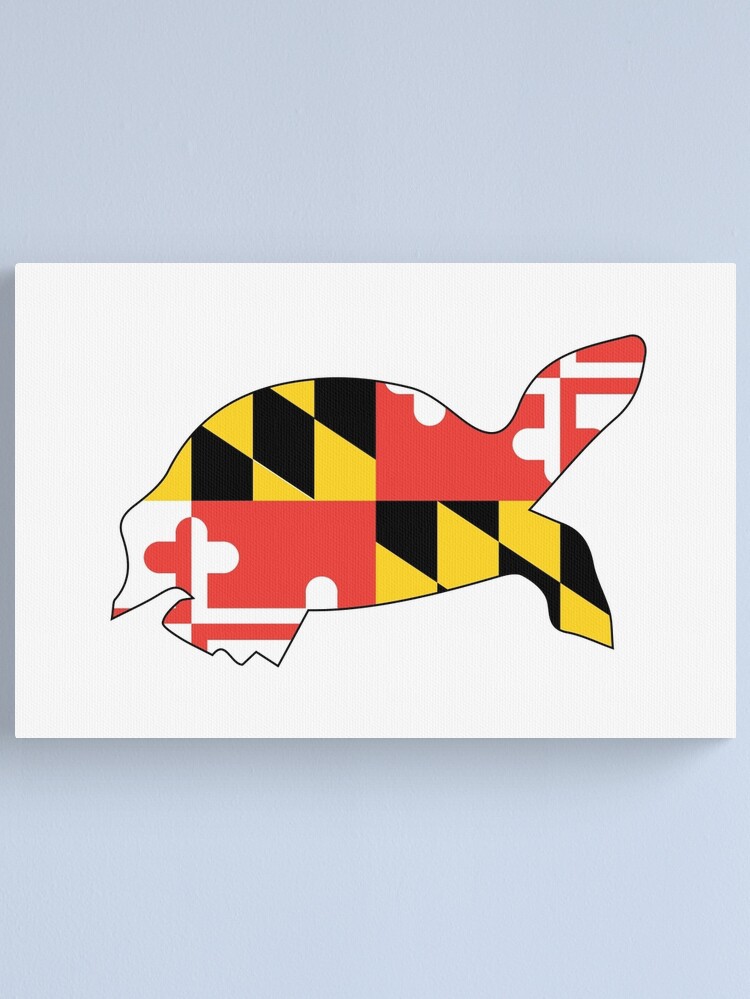 Maryland Diamondback Terrapin Flag Design Maryland Diamondback Terrapin Flag Design