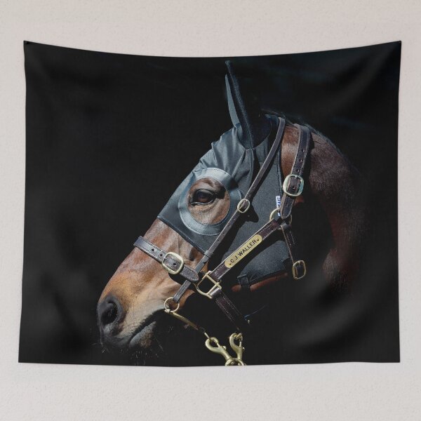 Item preview, Winx - Racehorse designed and sold by FastTrackPhotog.