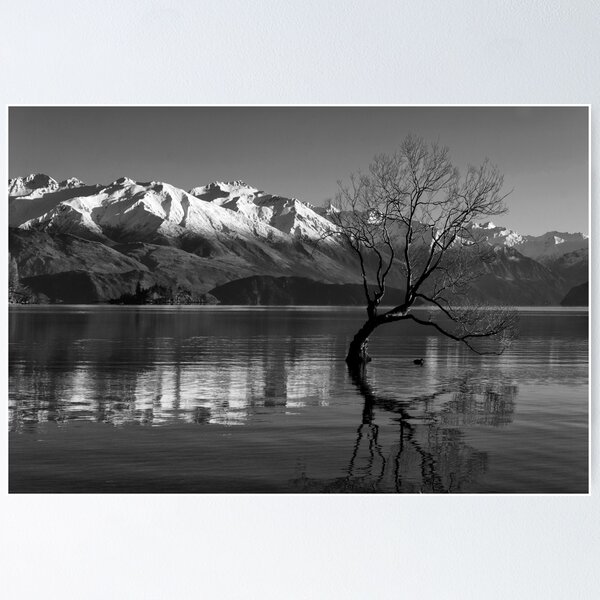 Item preview, Wanaka Lake Tree 6 B&W designed and sold by Charles Kosina.