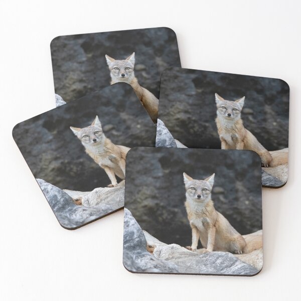 Item preview, Vulpes corsac designed and sold by Mythos57.
