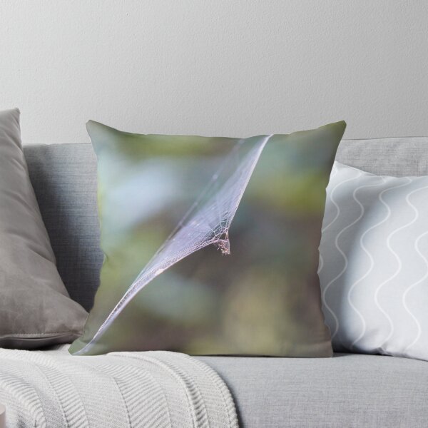 Item preview, Spider Web Photograph designed and sold by Pineappledear.