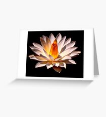 Yellow Glow Fragrant Water Lily Greeting Card