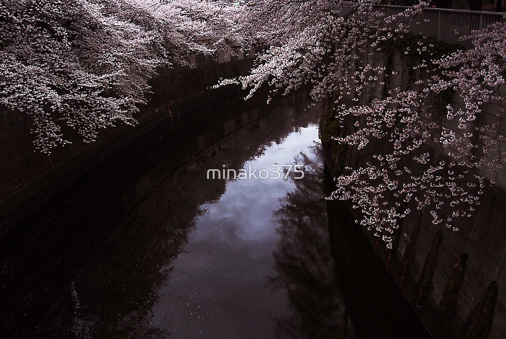 世の中を思えばなべて散る花の わが身をさてもいづちかもせむ By Minako375 Redbubble