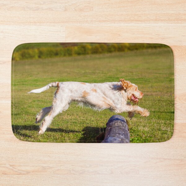 Item preview, Log jumping Spinone by heidiannemorris designed and sold by FOLK ART FUSION by heidiannemorris.