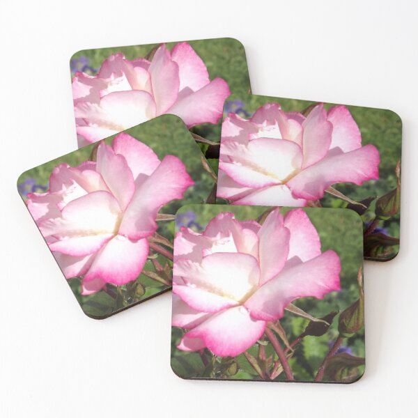 Item preview, A beautiful pink rose designed and sold by Joanne Babb.