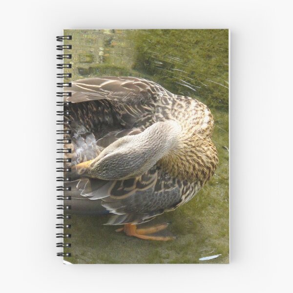 Item preview, Preening designed and sold by MarianBendeth.
