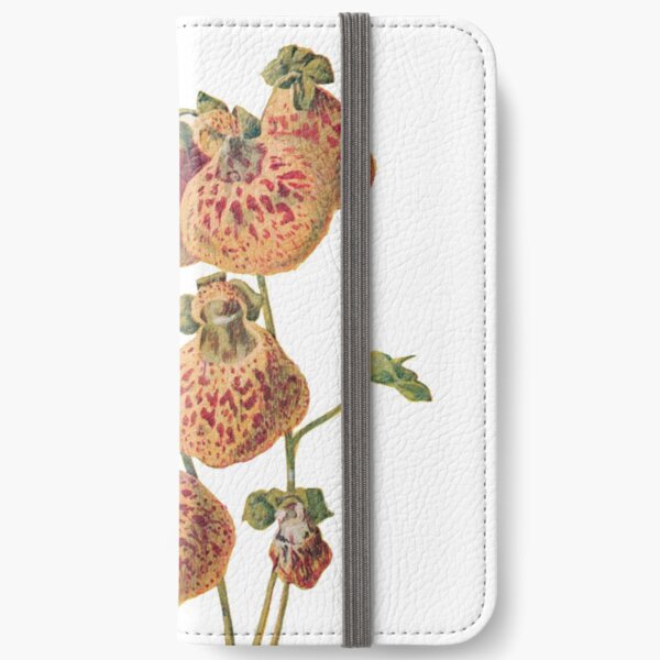 Slipper flowers, lady's purse, pocketbook flower, slipperwort, Calceolaria, Plants Print, Original Flower Print, Botanical Antique, Antique print, Foxglove Wall art, Foxglove Flower, Botanical Prints iPhone Wallet