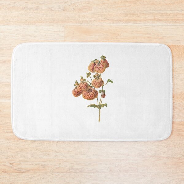 Item preview, Slipper flowers, lady's purse, pocketbook flower, slipperwort, Calceolaria, Plants Print, Original Flower Print, Botanical Antique, Antique print, Foxglove Wall art, Foxglove Flower, Botanical Prints designed and sold by Studio66Designs.