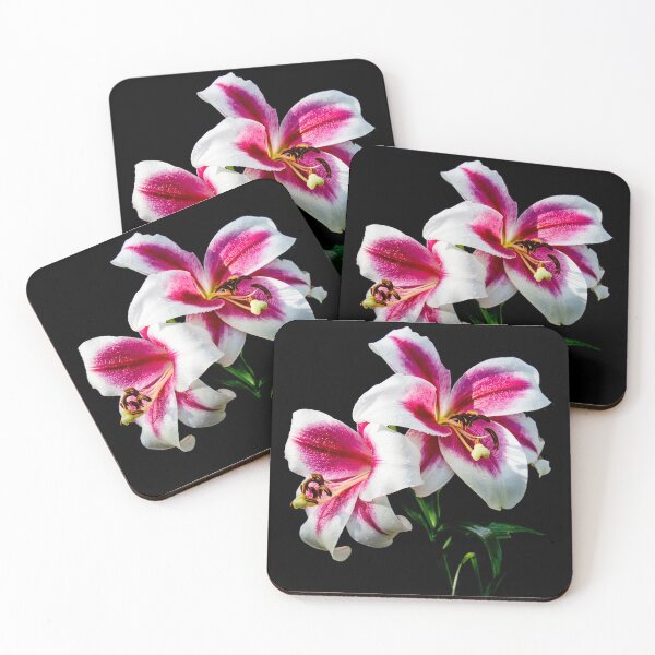 Item preview, Flower Study designed and sold by Derek Corner.