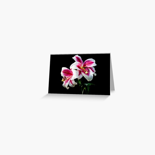Flower Study Greeting Card