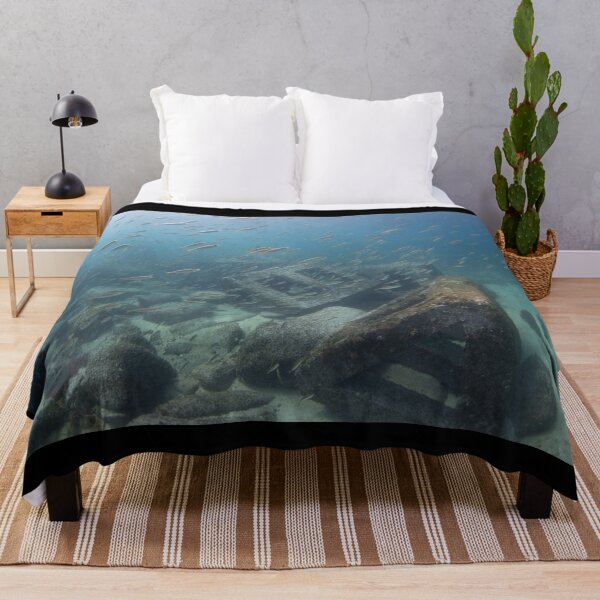 Item preview, School of Fish in Korea 2 designed and sold by Mike Ashley.